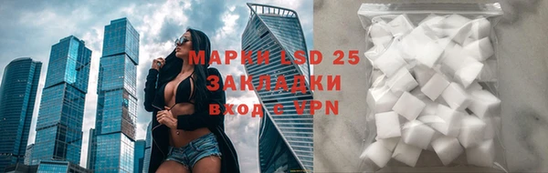 прущие грибы Нефтекумск