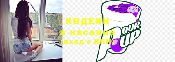 прущие грибы Нефтекумск