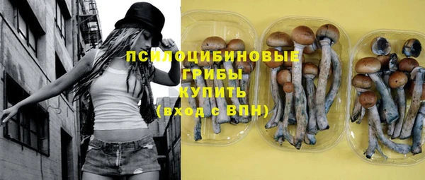 прущие грибы Нефтекумск