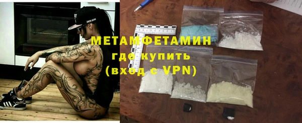 прущие грибы Нефтекумск